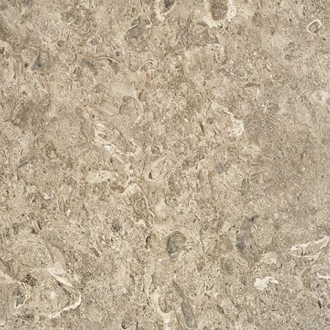 Aurisina Fiorita